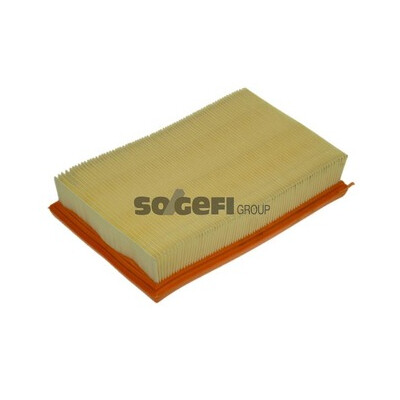 Filtro aria PURFLUX A1109
