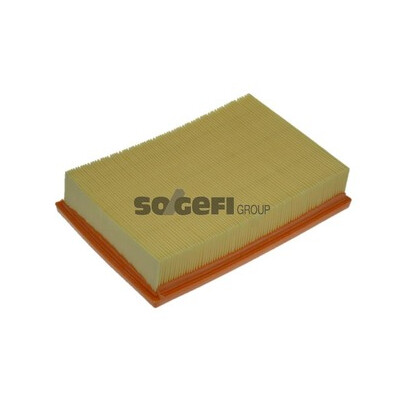 Filtro aria PURFLUX A1111