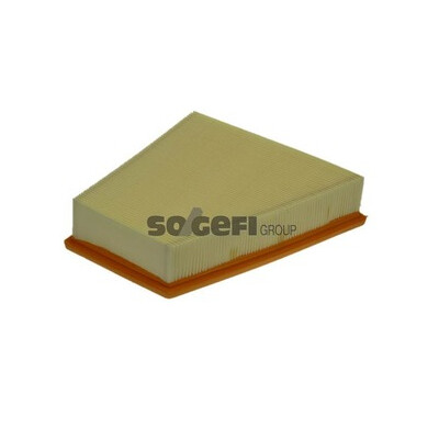 Filtro aria PURFLUX A1113