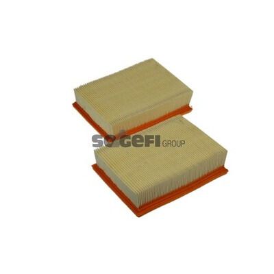 Filtro aria PURFLUX A1114
