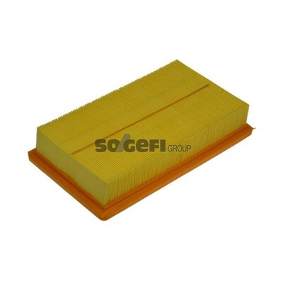 Filtro aria PURFLUX A1116