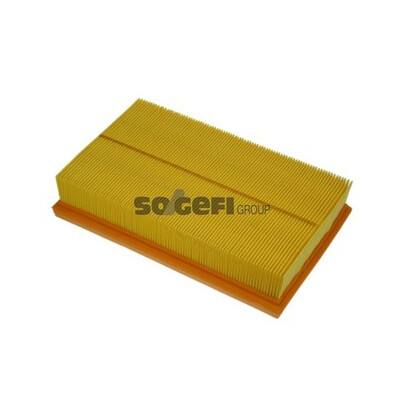 Filtro aria PURFLUX A1117