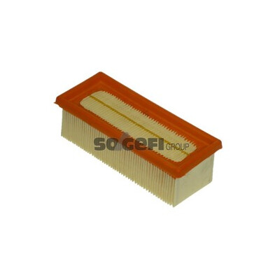 Filtro aria PURFLUX A1123