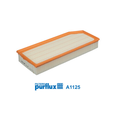 Filtro aria PURFLUX A1125