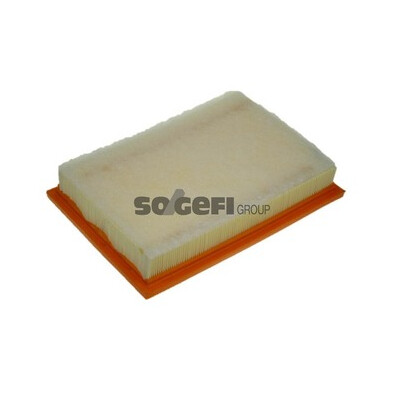 Filtro aria PURFLUX A1129