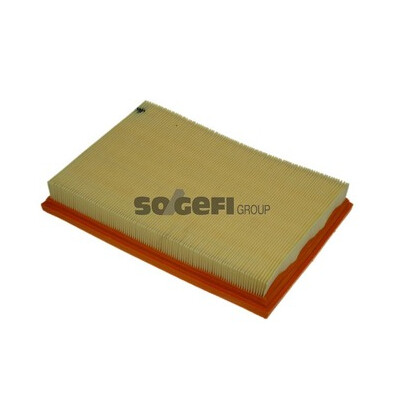 Filtro aria PURFLUX A1130