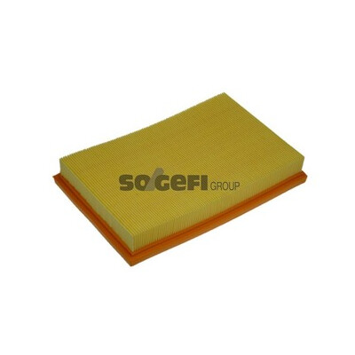 Filtro aria PURFLUX A1131
