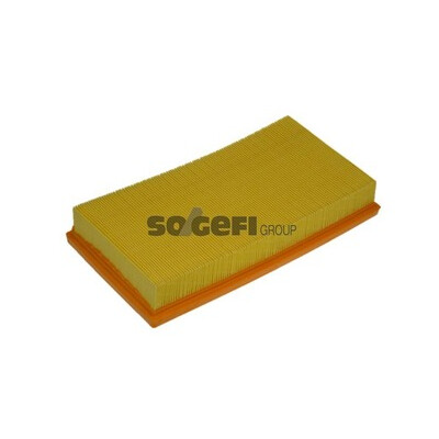 Filtro aria PURFLUX A1135