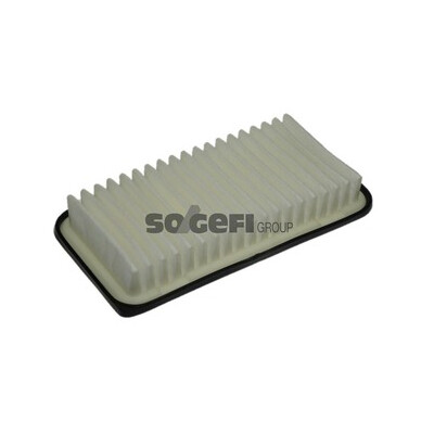 Filtro aria PURFLUX A1136