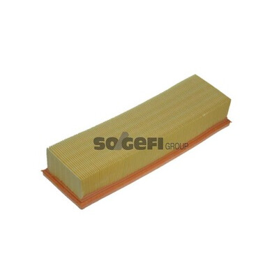 Filtro aria PURFLUX A1142