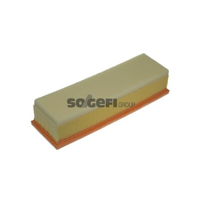 Filtro aria PURFLUX A1143