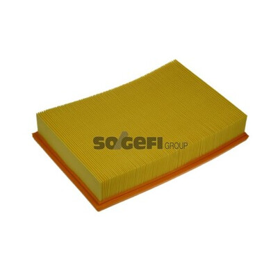 Filtro aria PURFLUX A1144