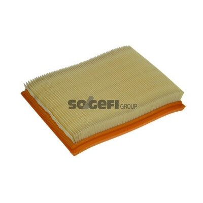 Filtro aria PURFLUX A1145