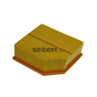 Filtro aria PURFLUX A1147