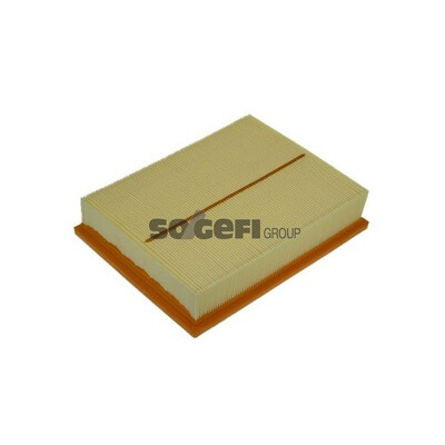Filtro aria PURFLUX A1151