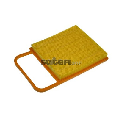 Filtro aria PURFLUX A1153