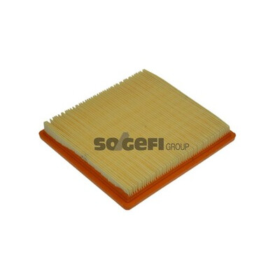 Filtro aria PURFLUX A1154