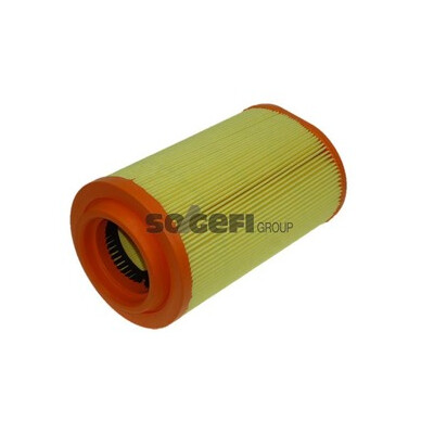 Filtro aria PURFLUX A1155