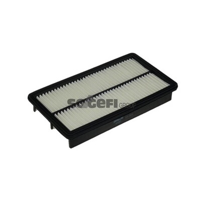 Filtro aria PURFLUX A1157