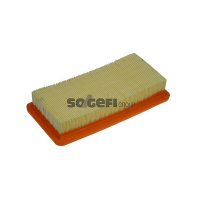 Filtro aria PURFLUX A1158