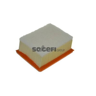 Filtro aria PURFLUX A1159