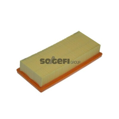 Filtro aria PURFLUX A1164