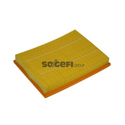 Filtro aria PURFLUX A1167