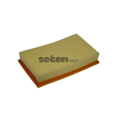 Filtro aria PURFLUX A1169
