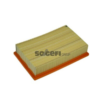 Filtro aria PURFLUX A1170