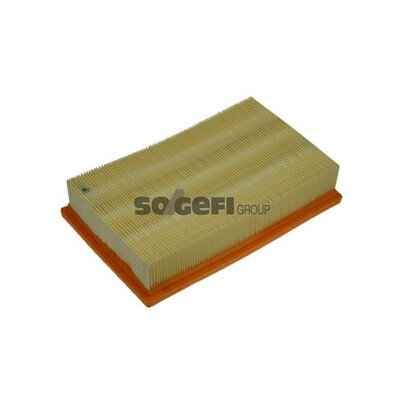 Filtro aria PURFLUX A1171