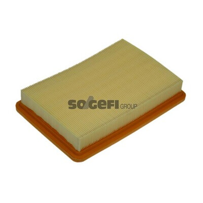 Filtro aria PURFLUX A1174