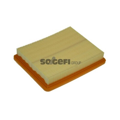 Filtro aria PURFLUX A1175