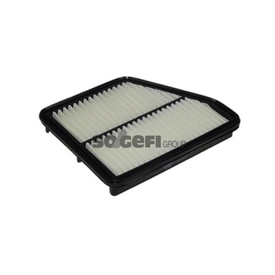 Filtro aria PURFLUX A1176