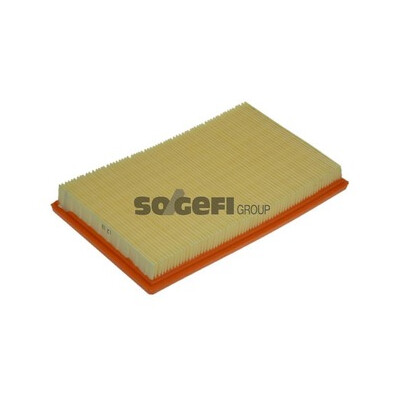 Filtro aria PURFLUX A1182