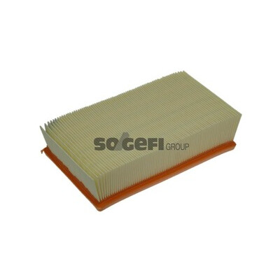 Filtro aria PURFLUX A1184