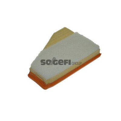 Filtro aria PURFLUX A1186