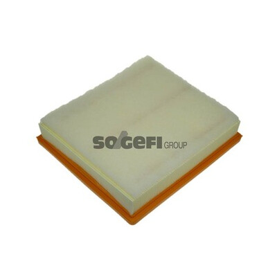 Filtro aria PURFLUX A1190