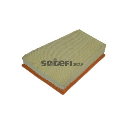 Filtro aria PURFLUX A1195