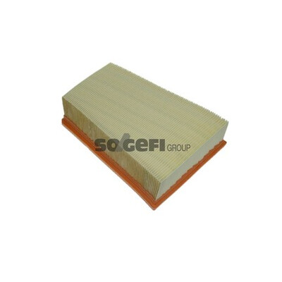 Filtro aria PURFLUX A1196