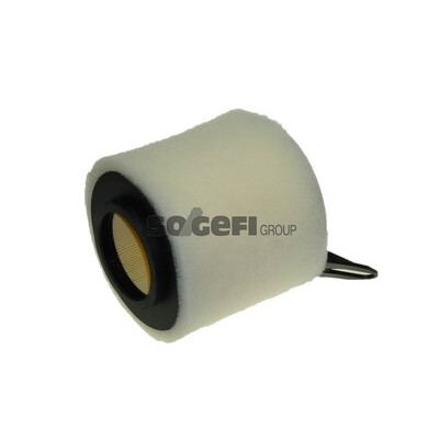 Filtro aria PURFLUX A1200
