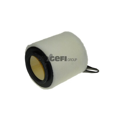 Filtro aria PURFLUX A1201