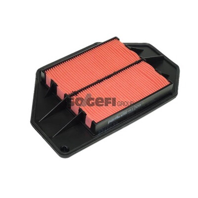 Filtro aria PURFLUX A1209