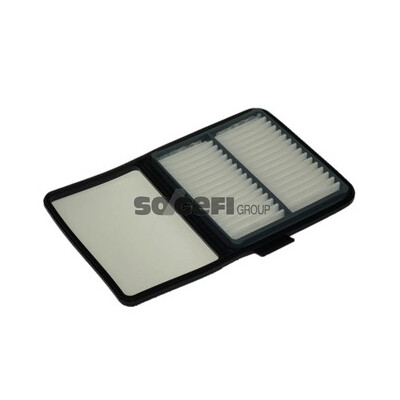 Filtro aria PURFLUX A1220