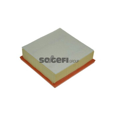 Filtro aria PURFLUX A1223