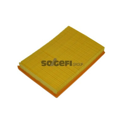 Filtro aria PURFLUX A1225
