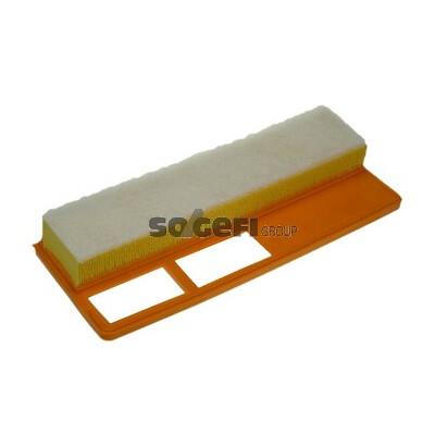 Filtro aria PURFLUX A1227