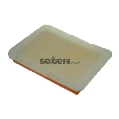Filtro aria PURFLUX A1228