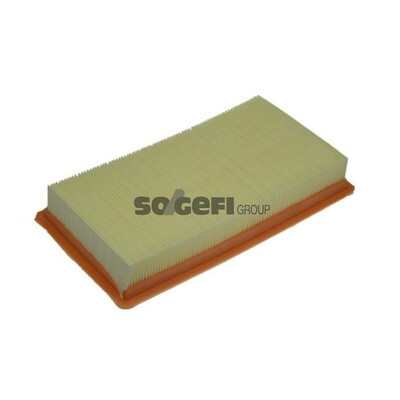 Filtro aria PURFLUX A1230