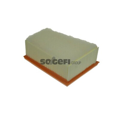 Filtro aria PURFLUX A1231