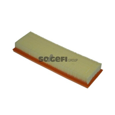 Filtro aria PURFLUX A1232